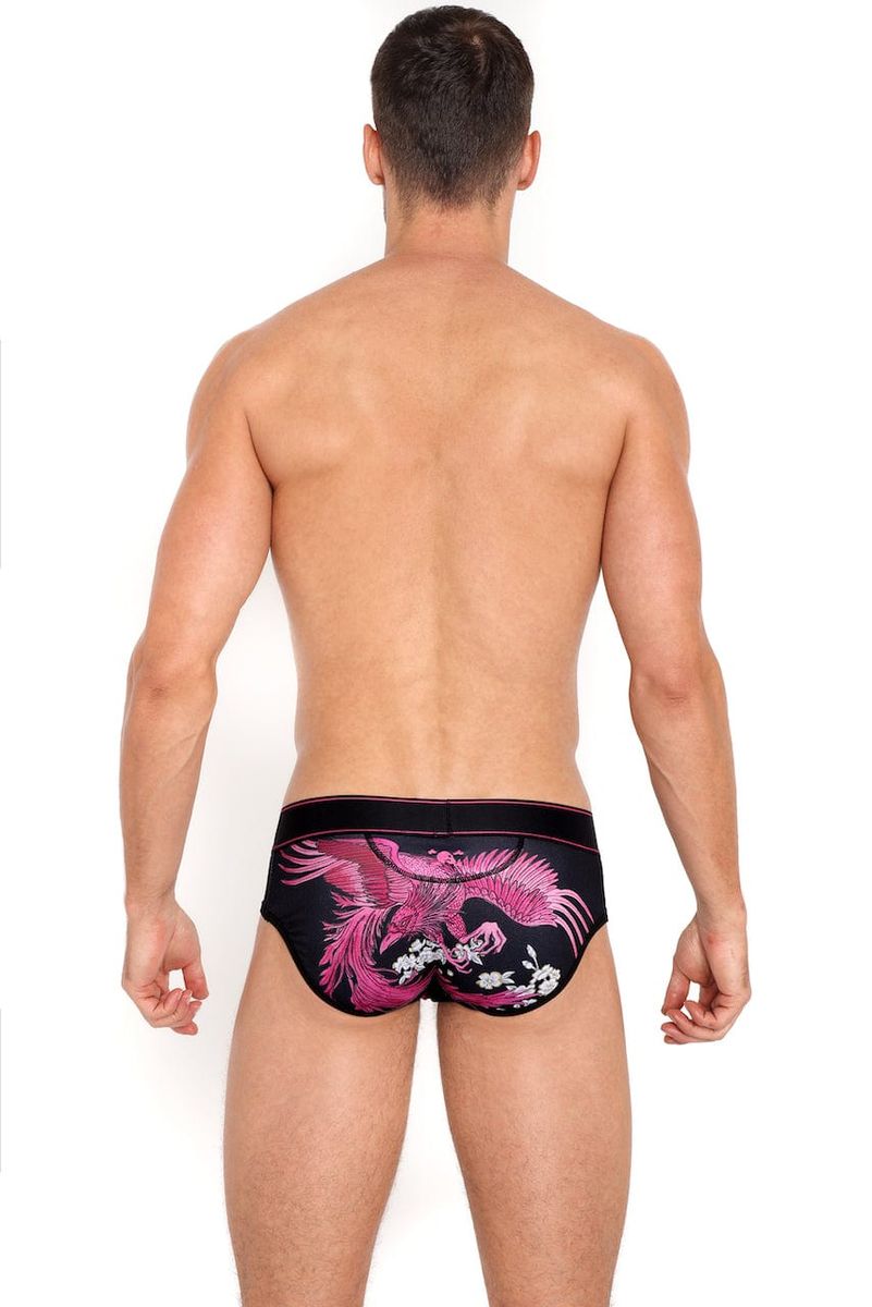 Phoenix Brief