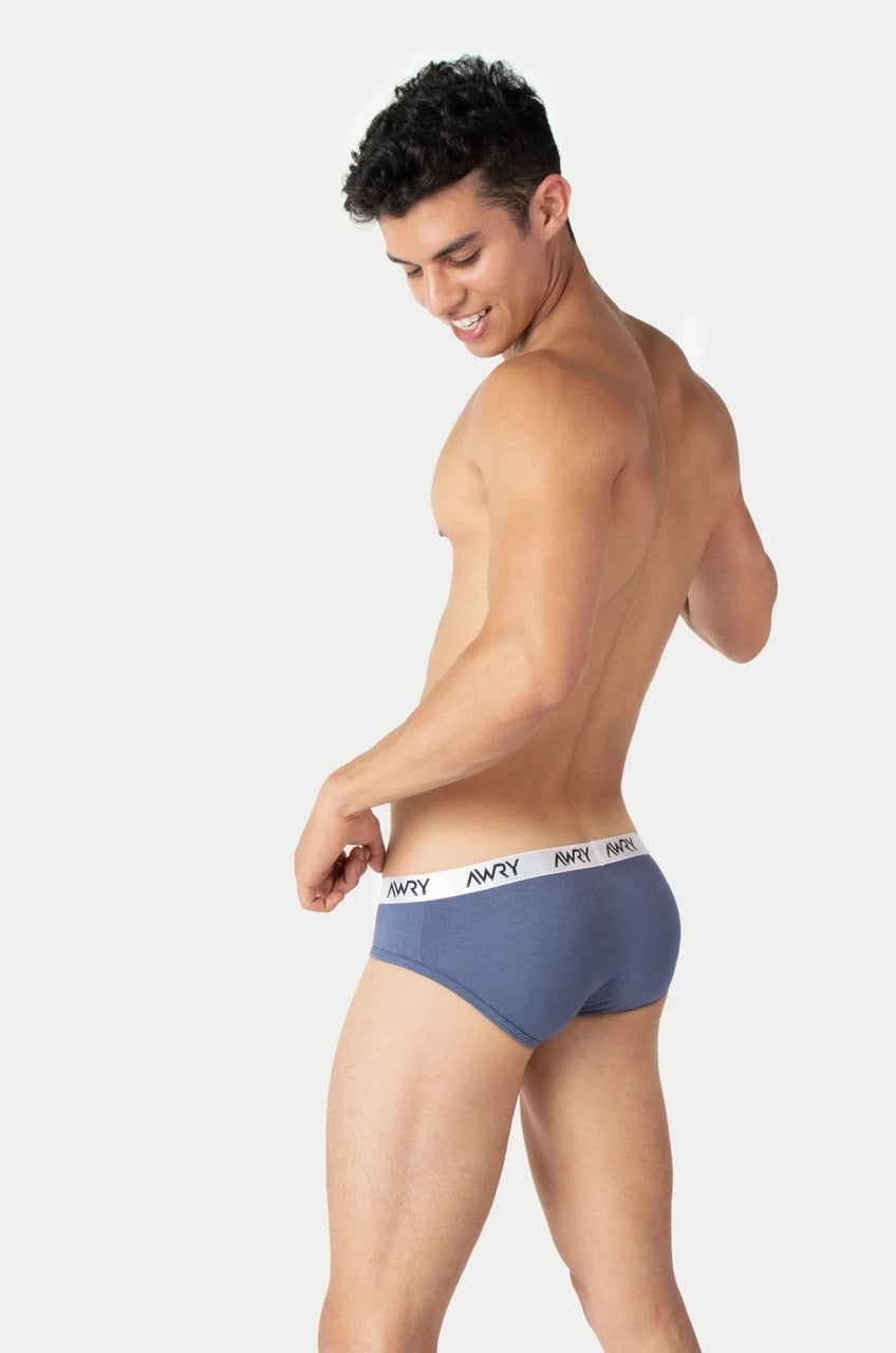 Stone Blue Signature Brief