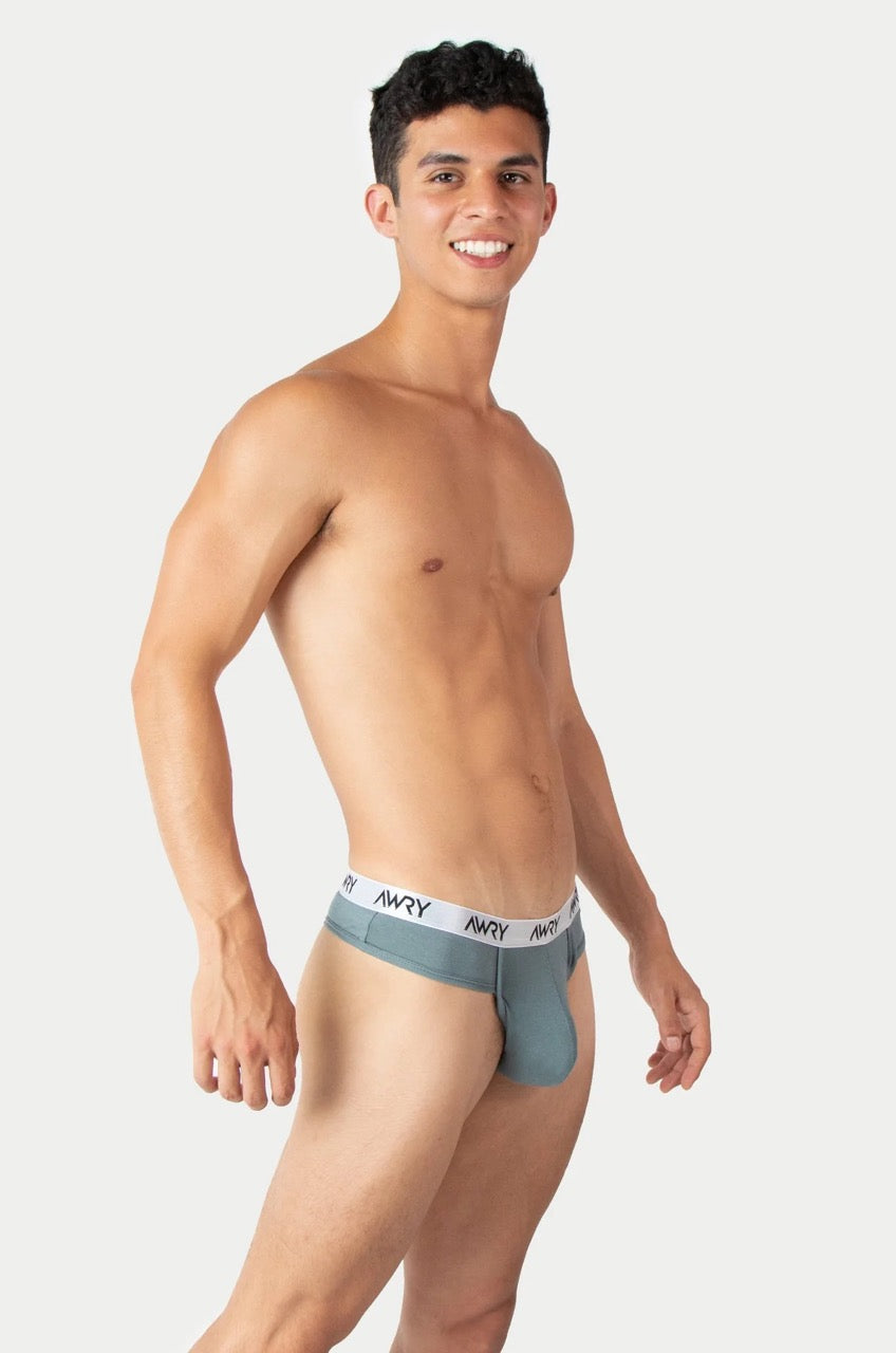 Sage Signature Thong