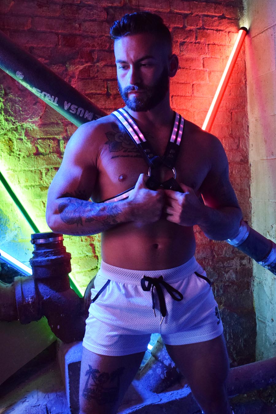 Rave Harness - Final Sale