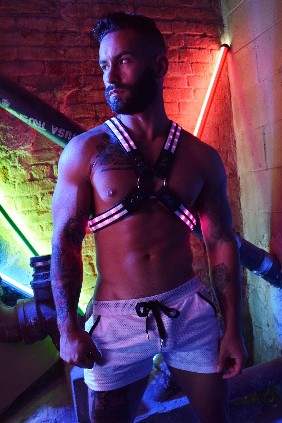 Rave Harness - Final Sale